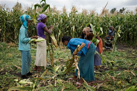 “Farming, Food Production & Social Transformation” – Exploring Change and Tradition through Ethiopian Eyes